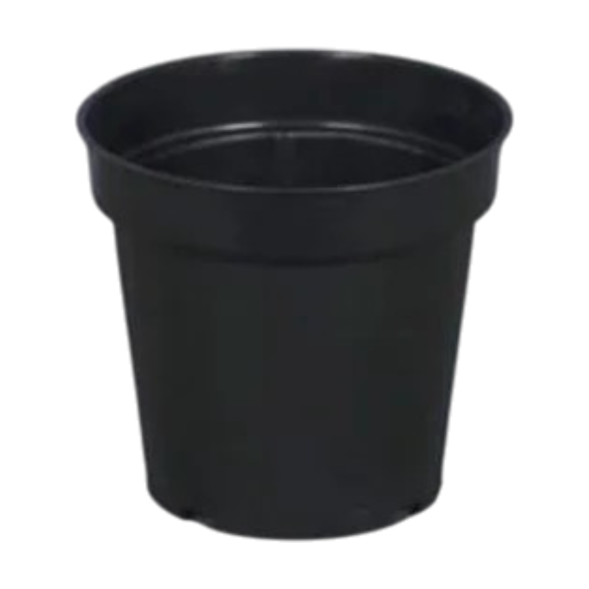 3 Inch Nursery Pot